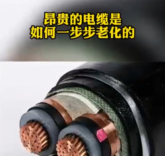 winsun第109集：winsun解決方案系列2，利用行波技術進行電纜在線監測